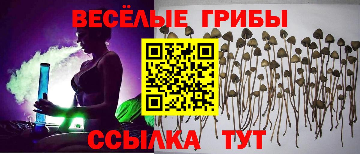Псилоцибиновые грибы MAGIC MUSHROOMS Заводоуковск