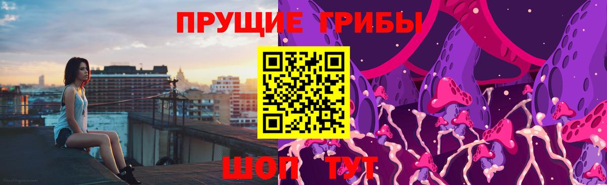 даркнет сайт  Псилоцибиновые грибы MAGIC MUSHROOMS  Вход с VPN  Галлюциногенные грибы мухоморы  Заводоуковск 
